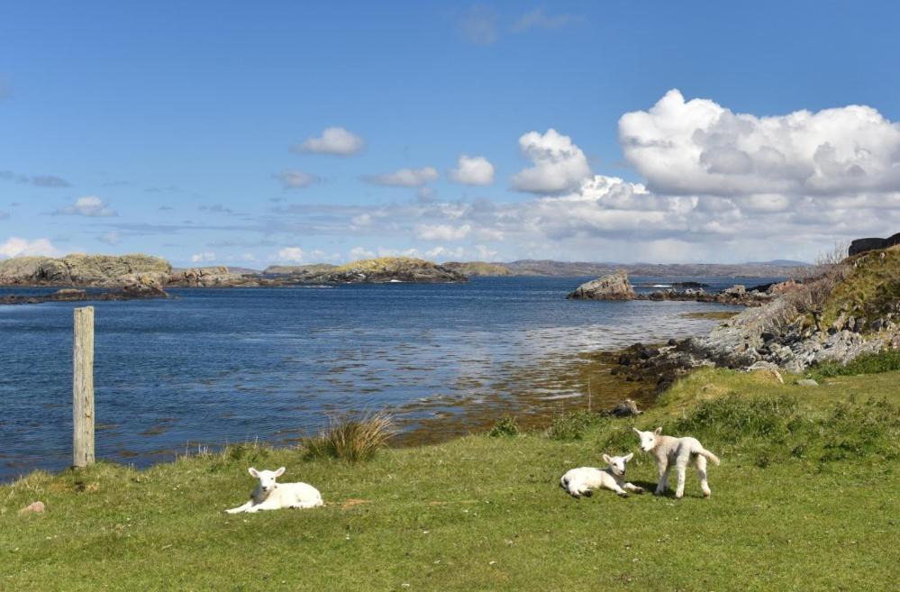 Culkein Lodge Drumbeg Eksteriør bilde